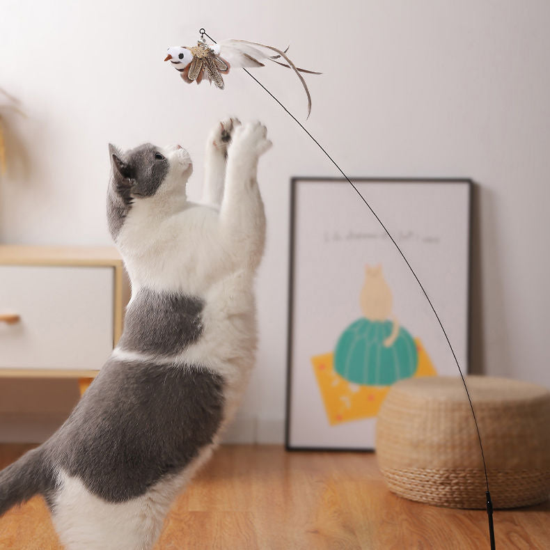 Steel Wire Feather Funny Cat Stick Long Rod