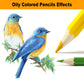 Oil Based Color Pencils.