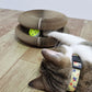 Magic Organ Cat Scratching Board Toy With Ball