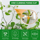 Vine Climbing Wall Fixture Invisible Hook